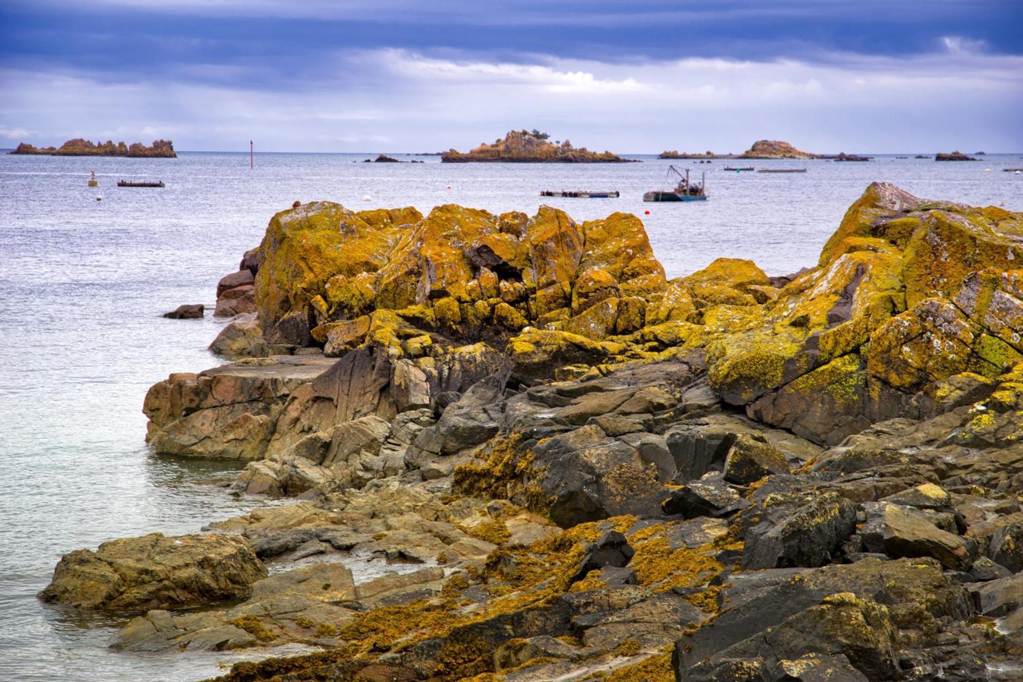 Gite Paimpol Le Loarwenn Exterior foto