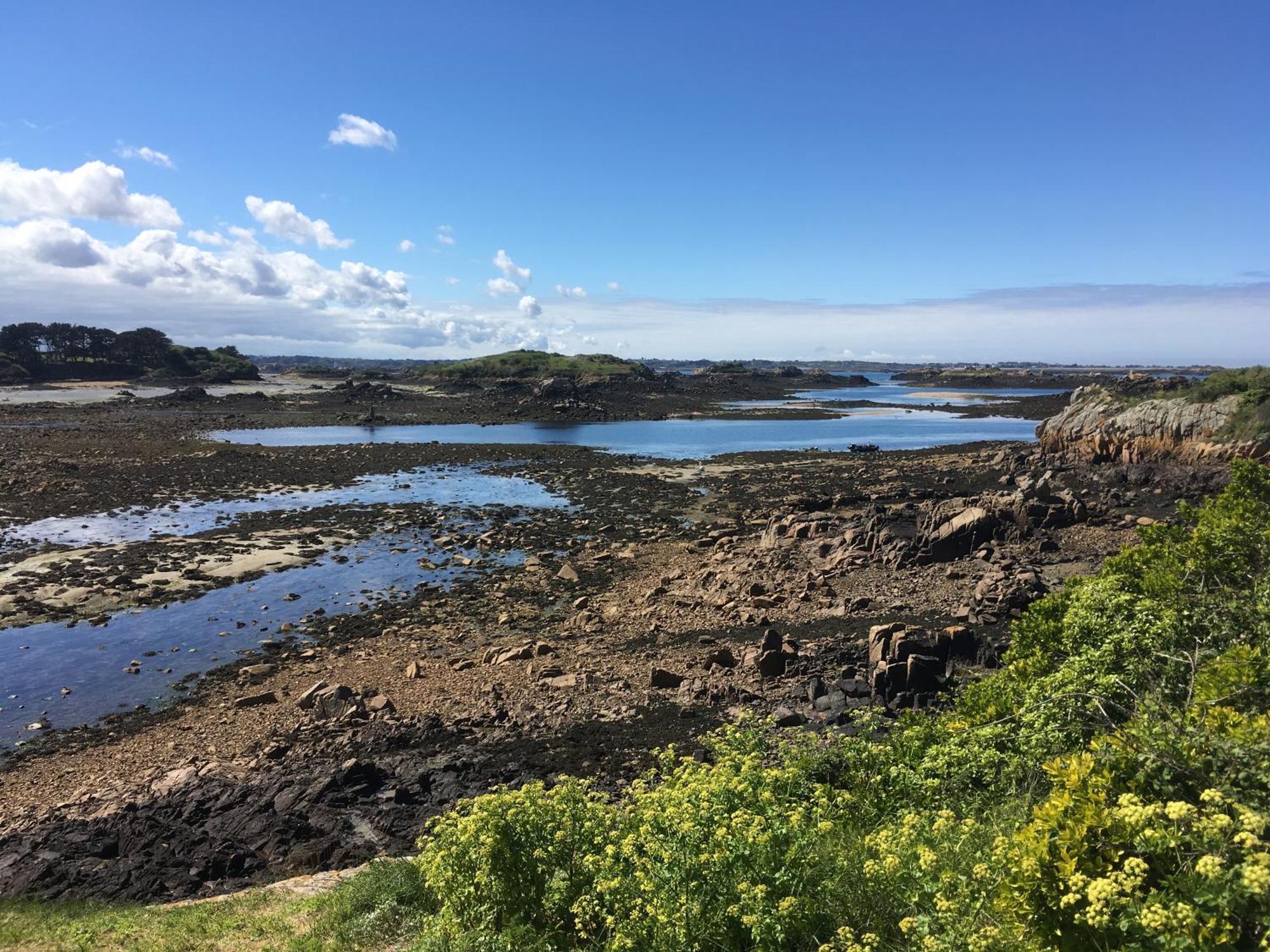 Gite Paimpol Le Loarwenn Exterior foto